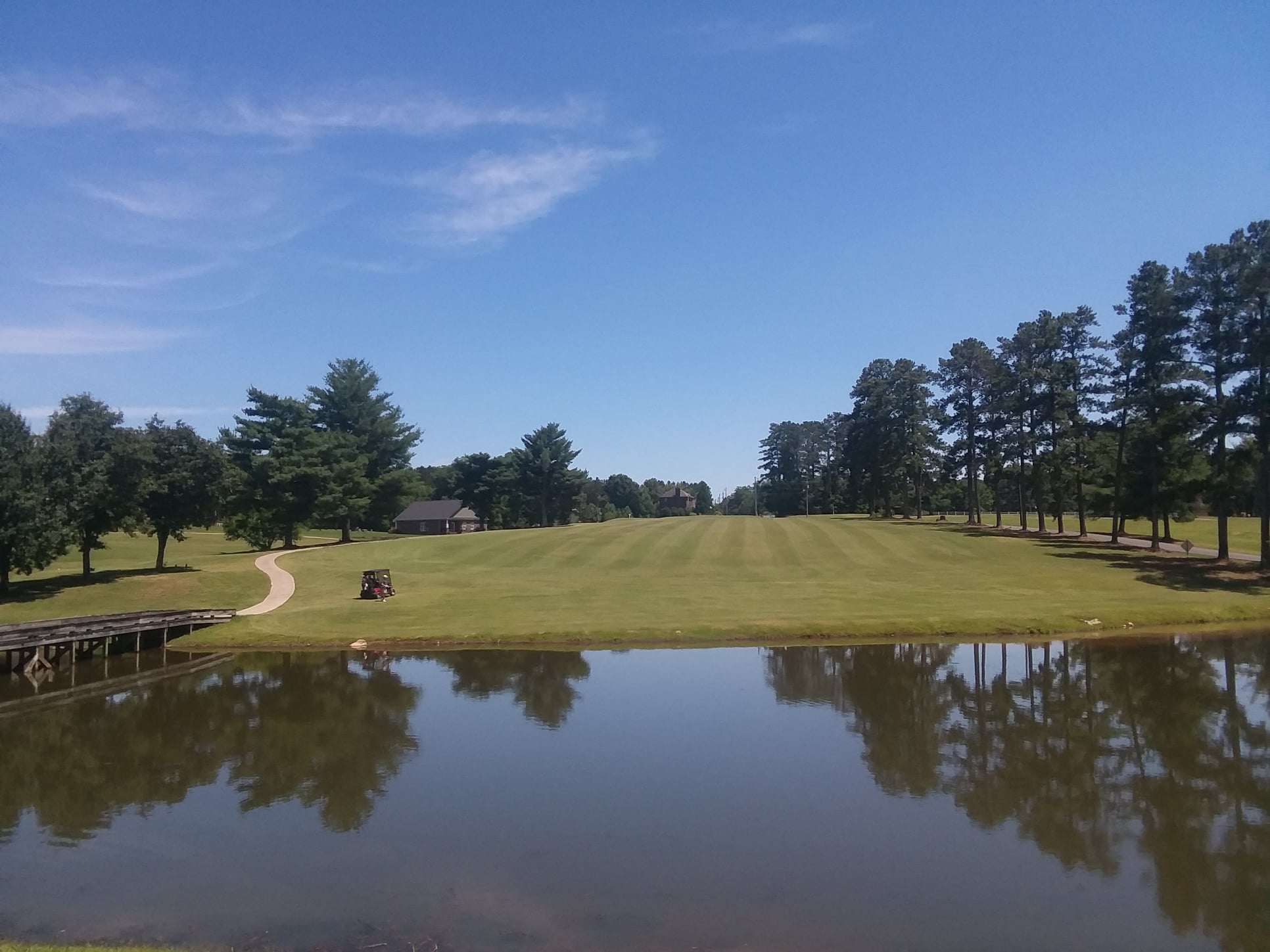 manicured greens